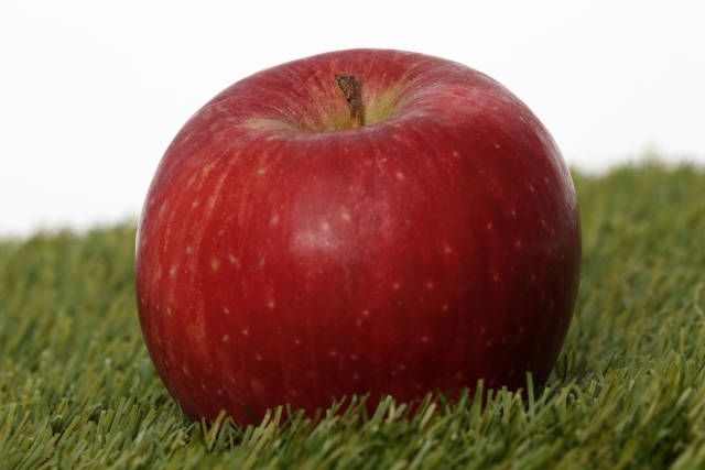 Apfel auf einer Wiese
