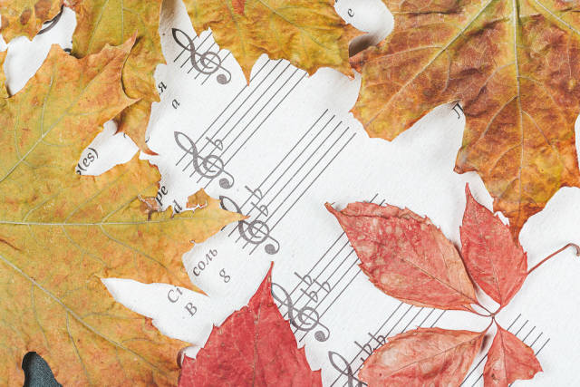 Notebook for notes with autumn colorful leaves
