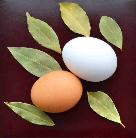 Die ideale Form - das Ei