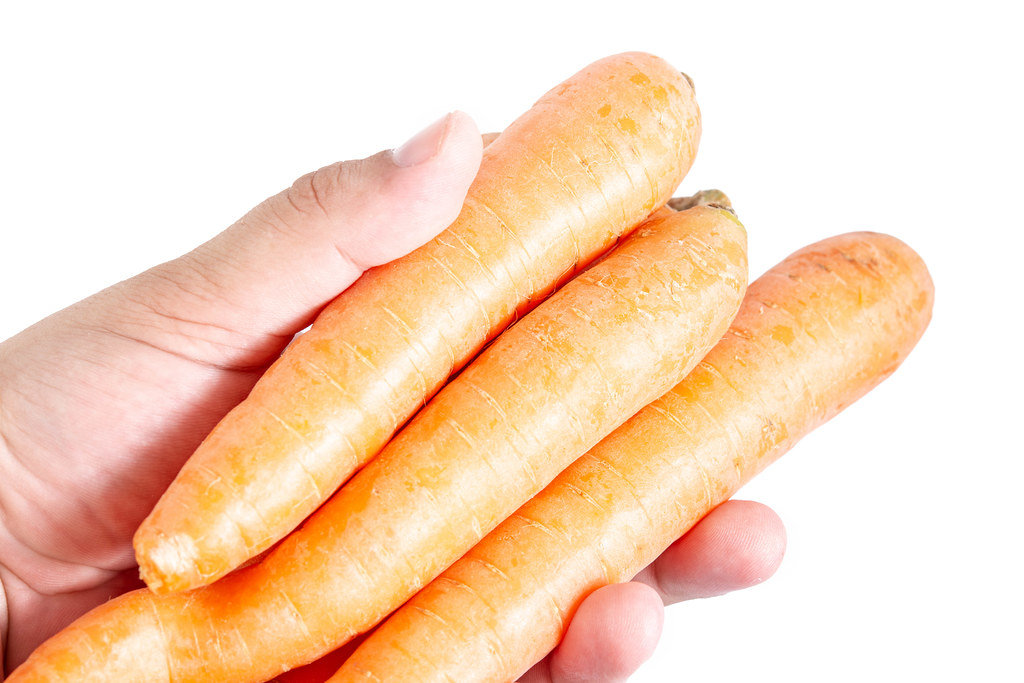 Fresh Raw Carrots in the hand above white background