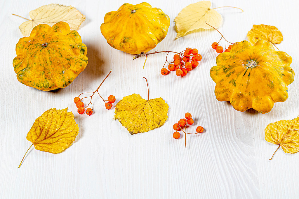 Squash, yellow leaves and Rowan berries on a white background. Autumn season concept