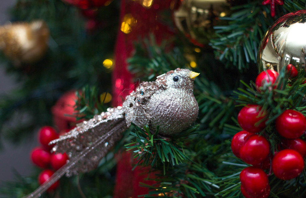 Bird Christmas  ornement