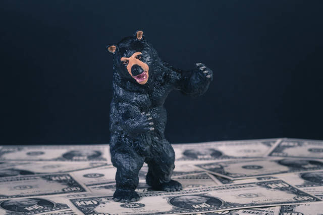 Black bear standing on US dollar banknotes