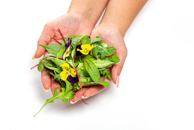 Female hands with lettuce, arugula and flowers