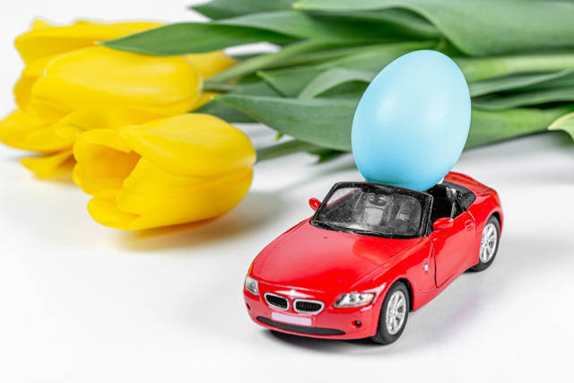 A red car with a blue Easter egg on a white background and a bouquet of yellow tulips