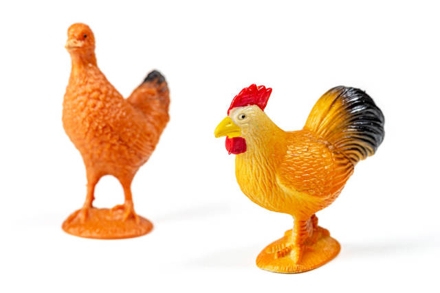 Zwei Hühner: Spielzeug aus Kunststoff für Kinder auf weißem Hintergrund
