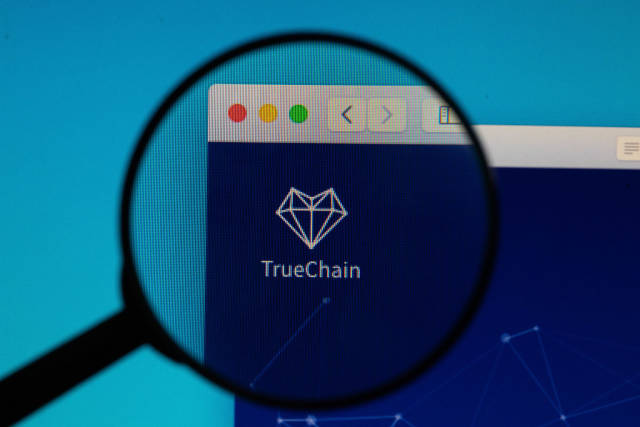 TrueChain logo under magnifying glass