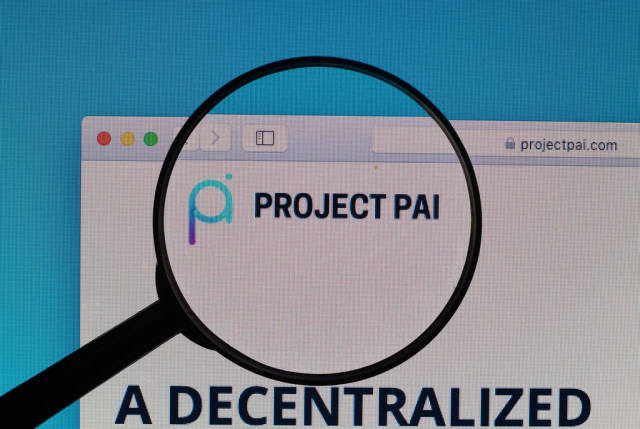 Project PAI logo under magnifying glass