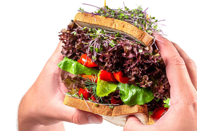 A large vegetarian sandwich with micro greens in mens hands