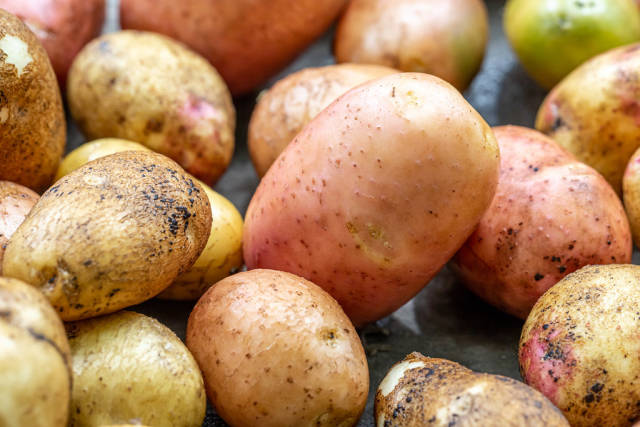 Young fresh potato background