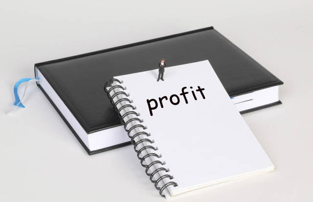 Notebook with Profit text