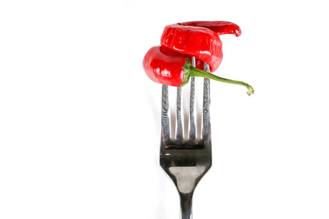 Spicy red chili peppers in the shape of a spiral on a white background with a fork