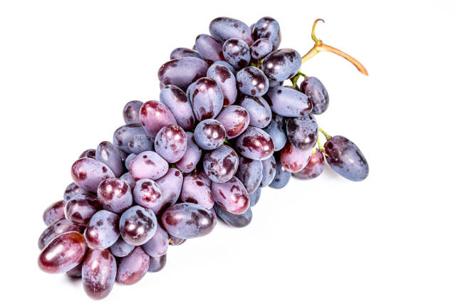 A bunch of ripe blue grapes