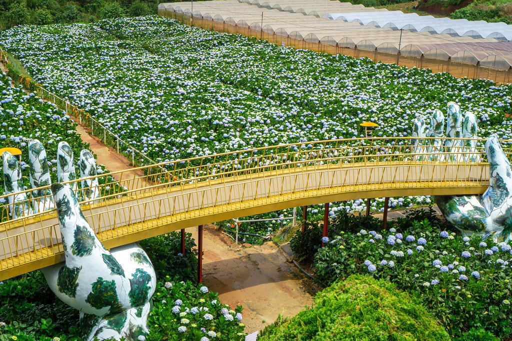 Golden Hand Bridge Copy at Hydrangea Flower Garden in Da Lat, Vietnam