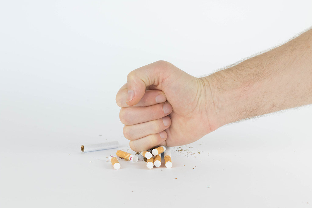 Male hand destroying cigarettes on white