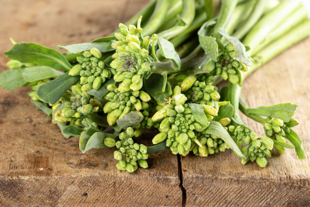 Close-up, broccolini on wooden background