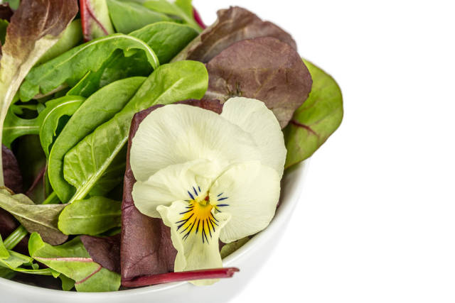Close up, salad mix arugula, lettuce,spinach and flower on white background