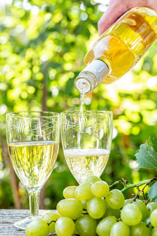 From the bottle poured white wine into glasses bunch of fresh grapes on a summer day in nature