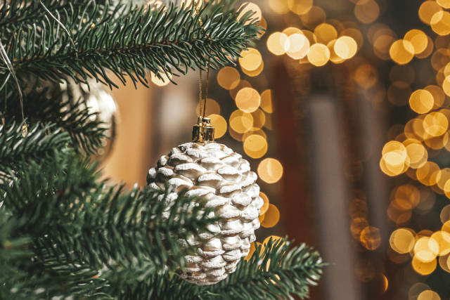 Close-up, decoration of a christmas tree cone on branches