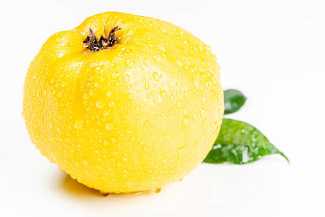Ripe yellow quince with water drops on a white background