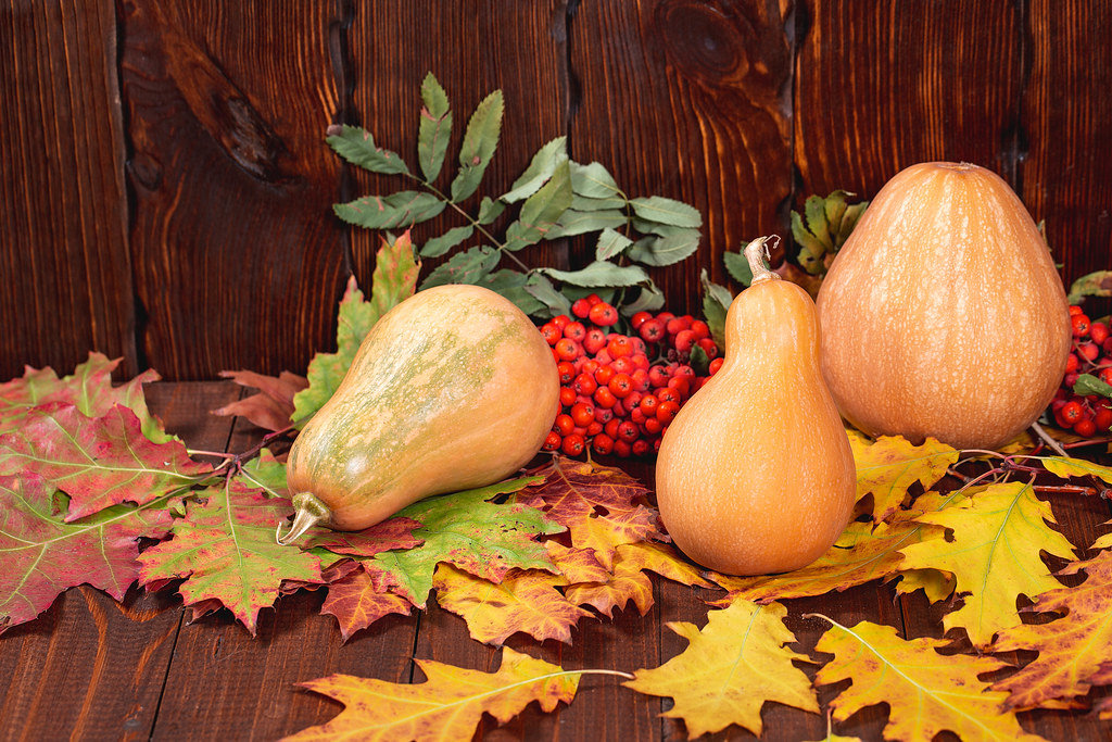 Beautiful pumpkins with colorful autumn leaves on old wooden background