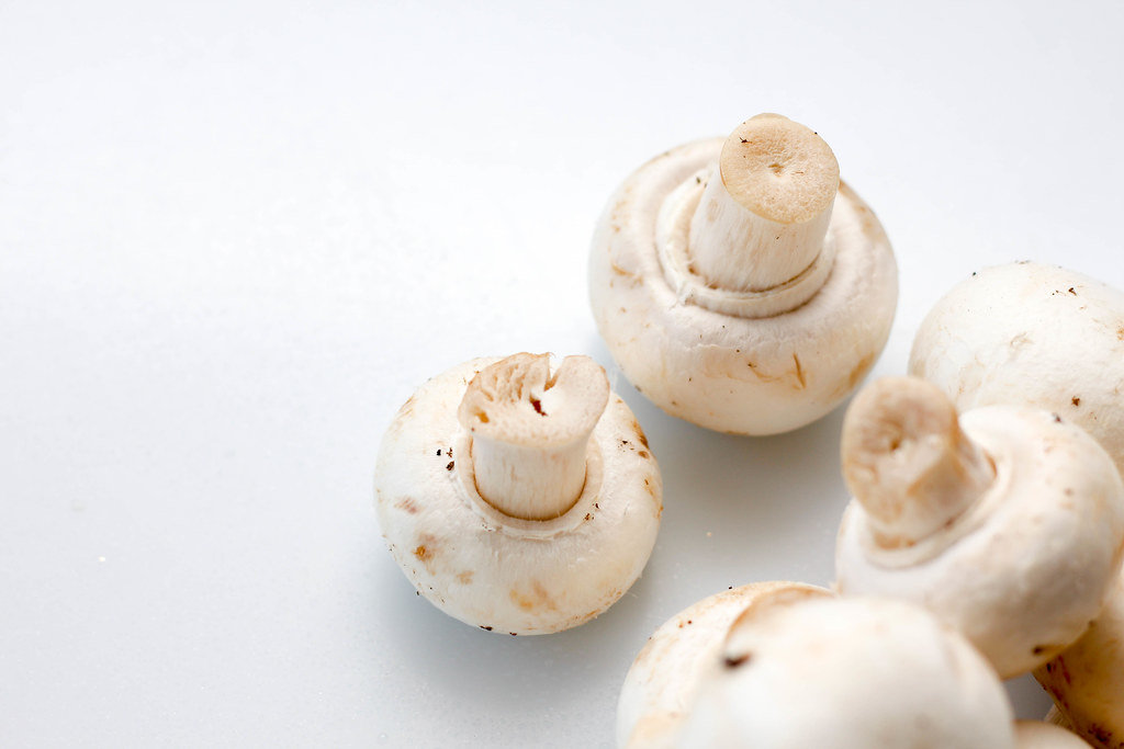 Mushroom On a White Background