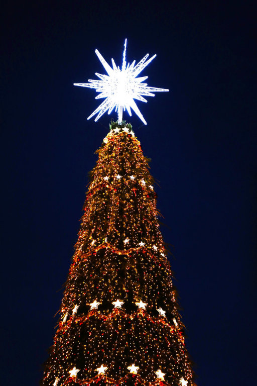 Big star on top of Christmas tree, night view outdoors
