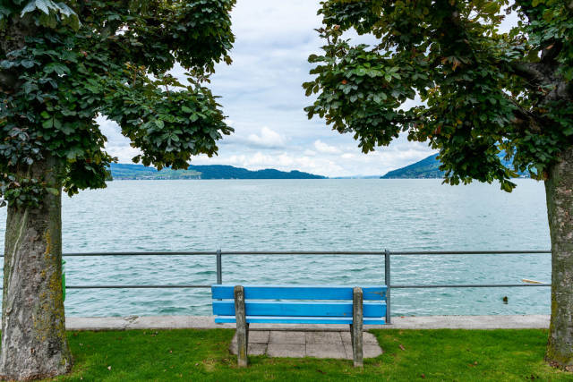 A bench between two trees overlooking the beautiful lake in Switzerland