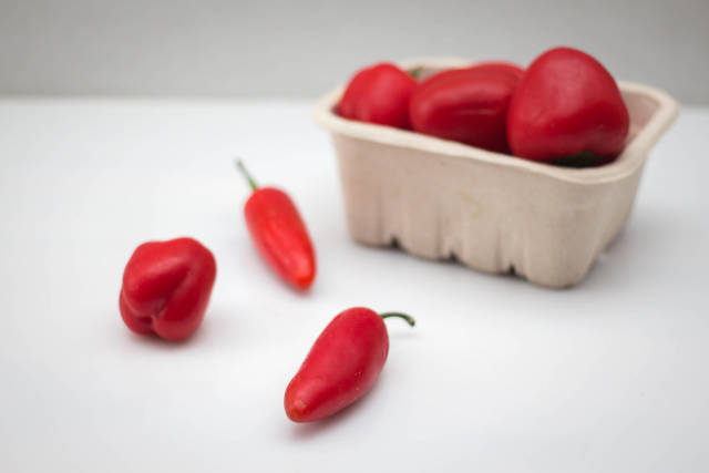 Red Pepper on a White Background