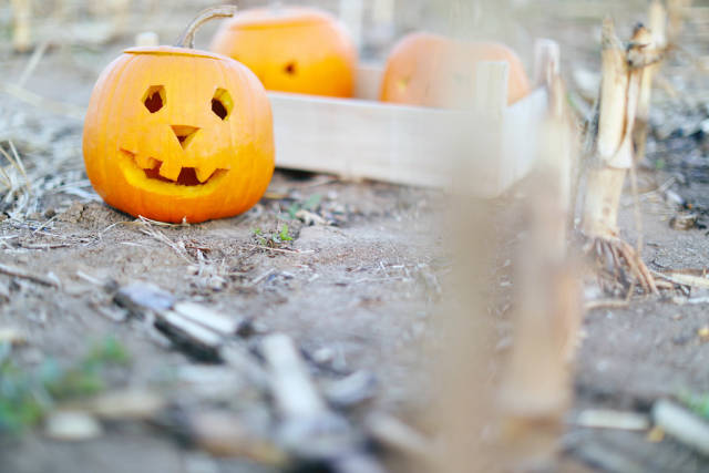 Halloween pumpkins on the ground