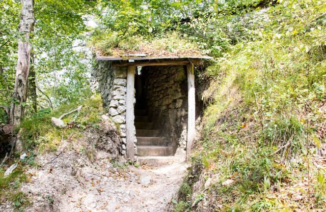 Doors in the forest