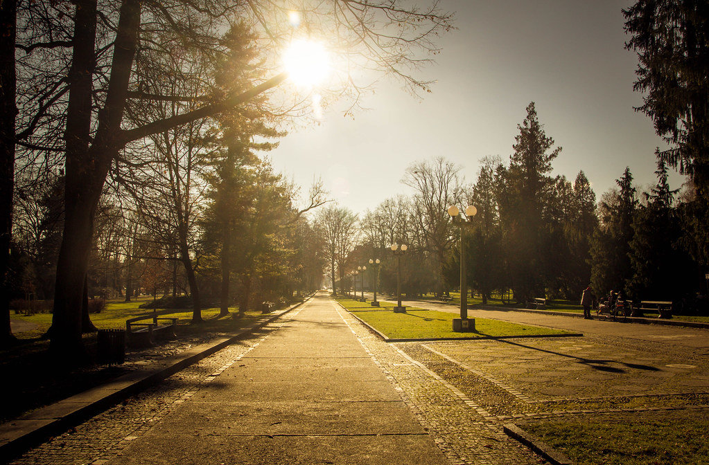 Beautiful park in Maribor