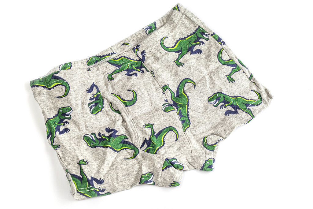 Childrens underwear in the form of panties for a boy with dinosaurs