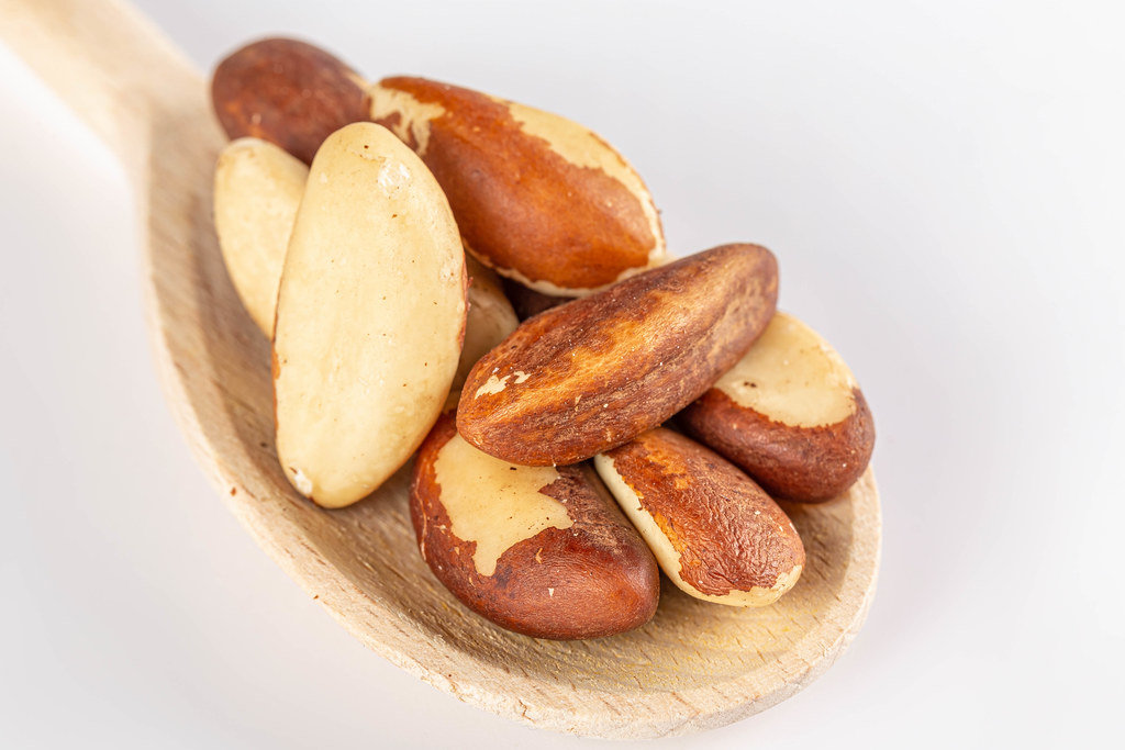 Brazil nut in wooden spoon