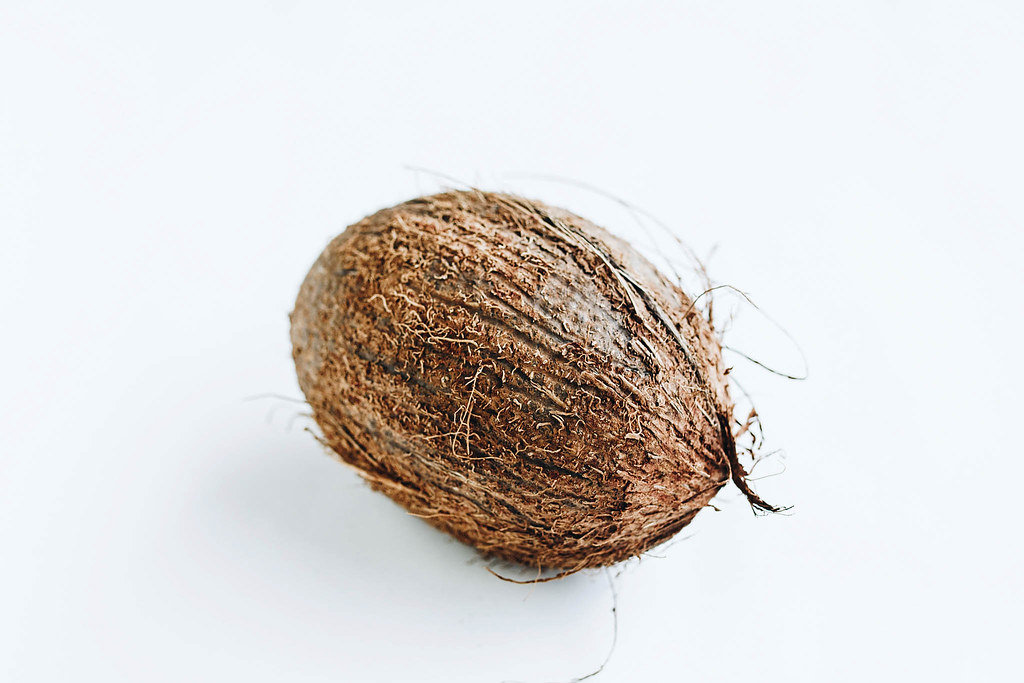 Kokosnuss vor weißem Hintergrund