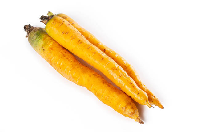 Shimaninjin, type of yellow carrot