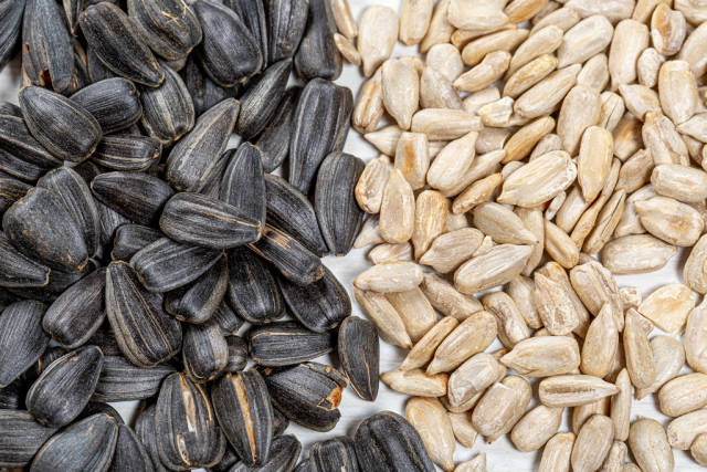 Peeled sunflower seeds and seeds with shells