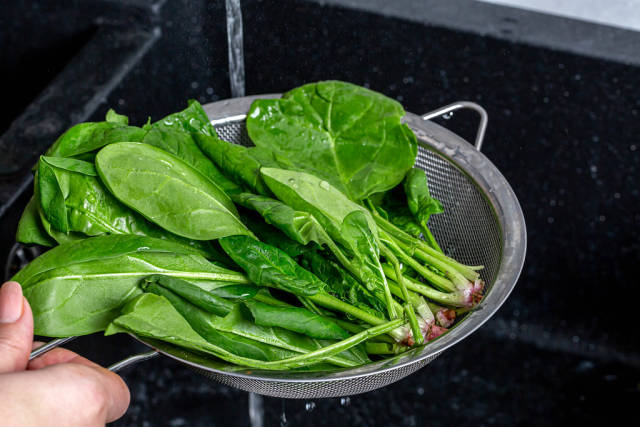 Fresh wet spinach with water drops