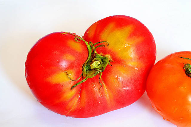 Tomate "Bullish Herz"