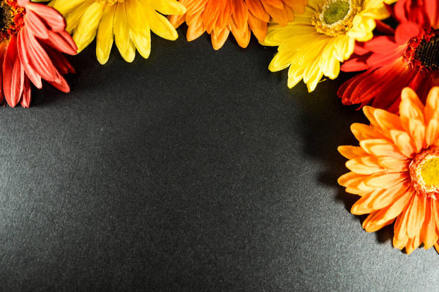 Red, orange, and yellow flower frame on a black surface