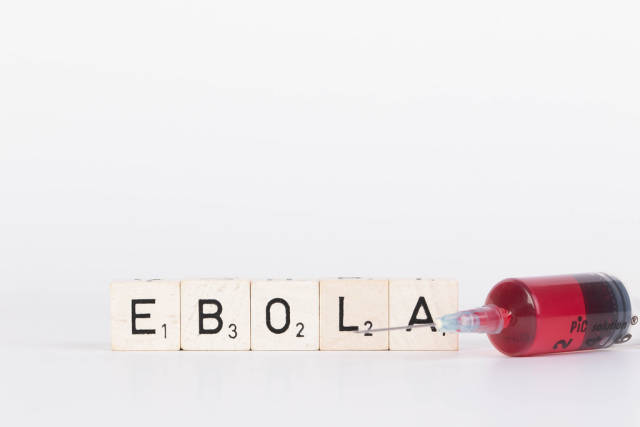 Wooden blocks with the word Ebola and injection needle