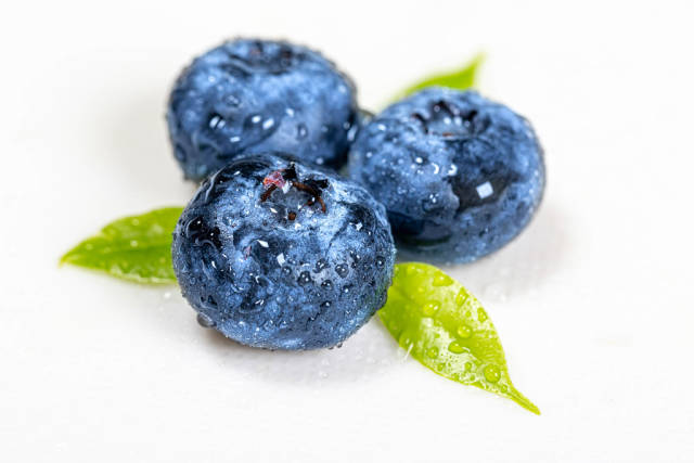 Three blueberries with leaves close-up