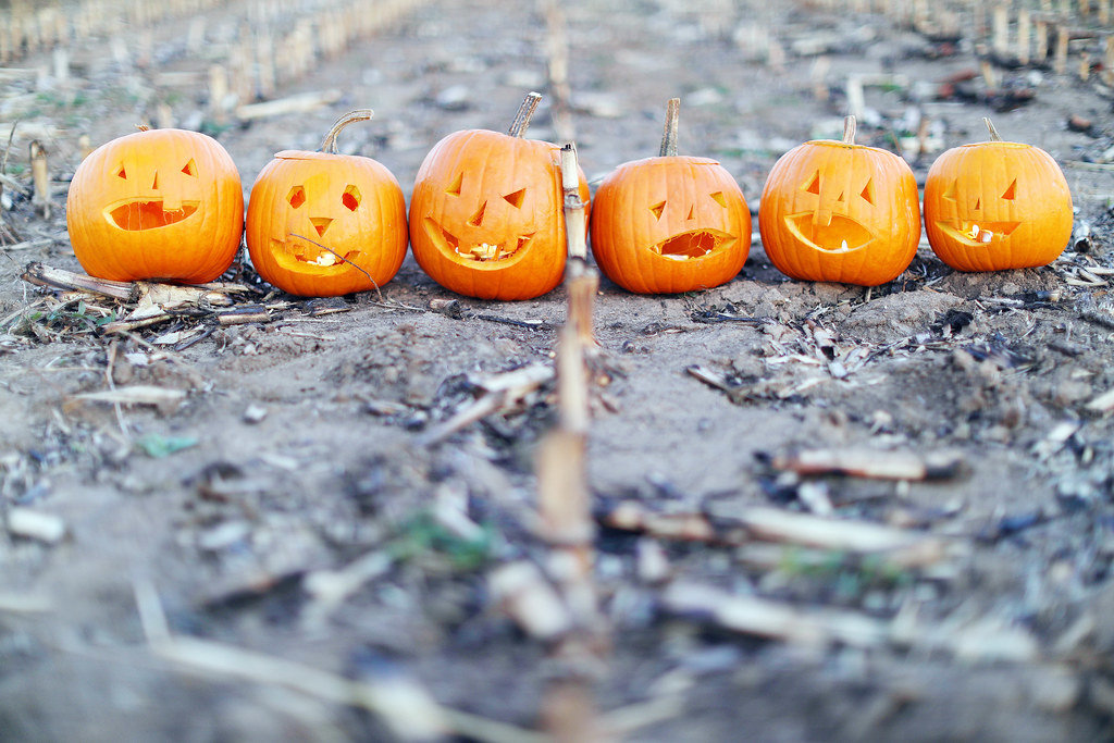 Six Halloween pumpkins on the field