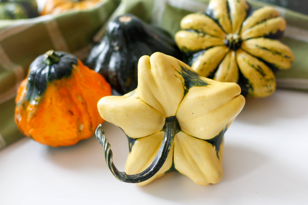 pumpkin close-up