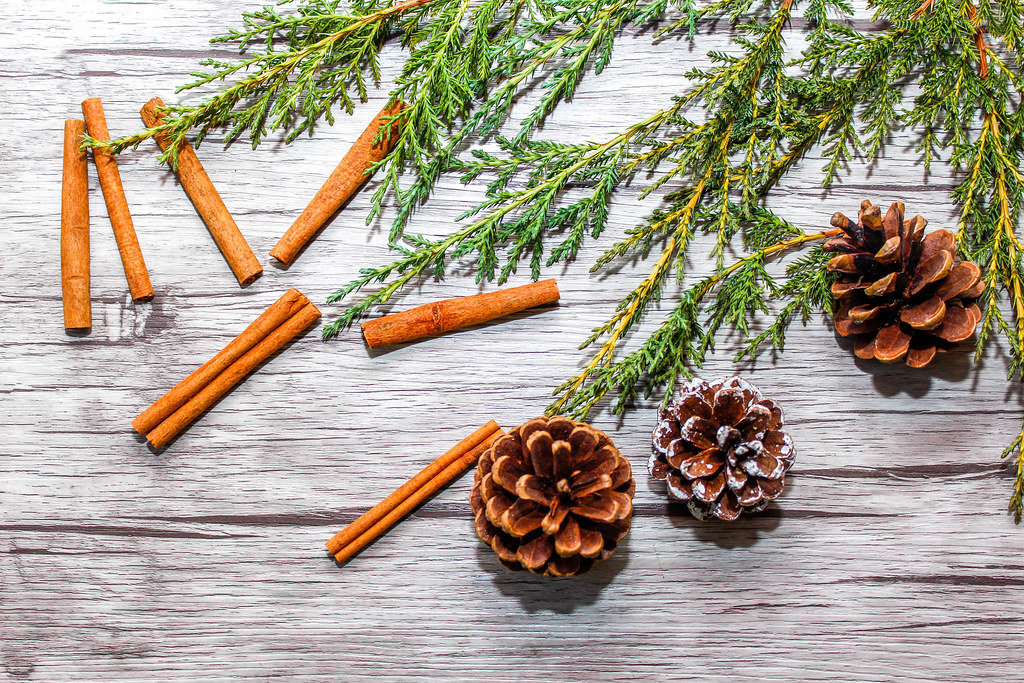 Holday Background with Pinecone, Cinnamon Stick and Tree Branch