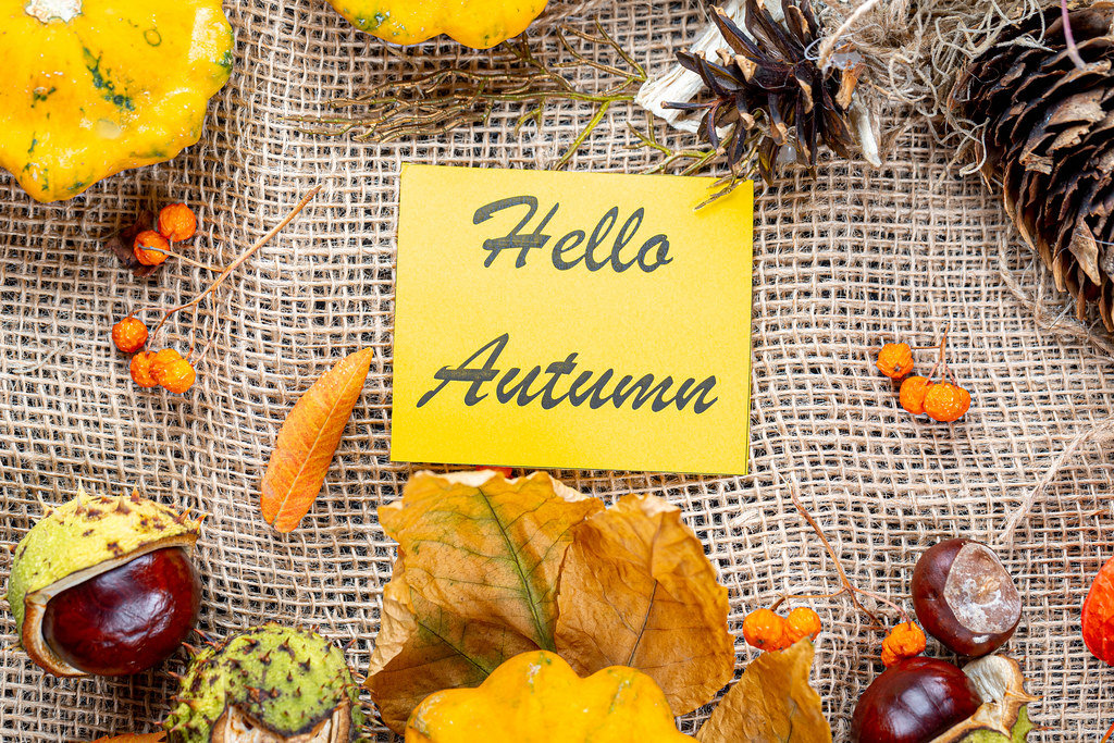 Hello autumn tag on yellow note with autumn background