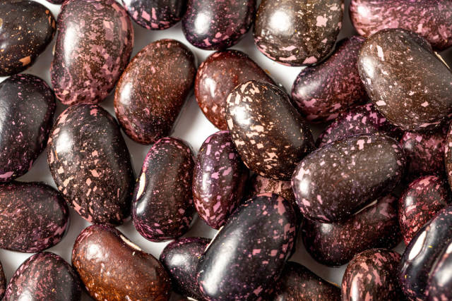 Close-up, dark-colored beans