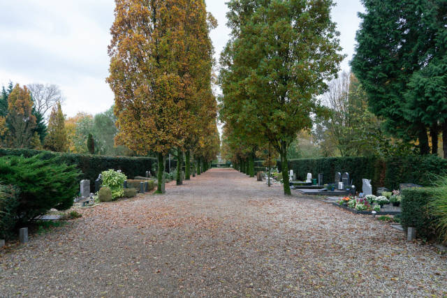 Tree alley with tall trees and graves at Dutch cemetery De Nieuwe Noorde