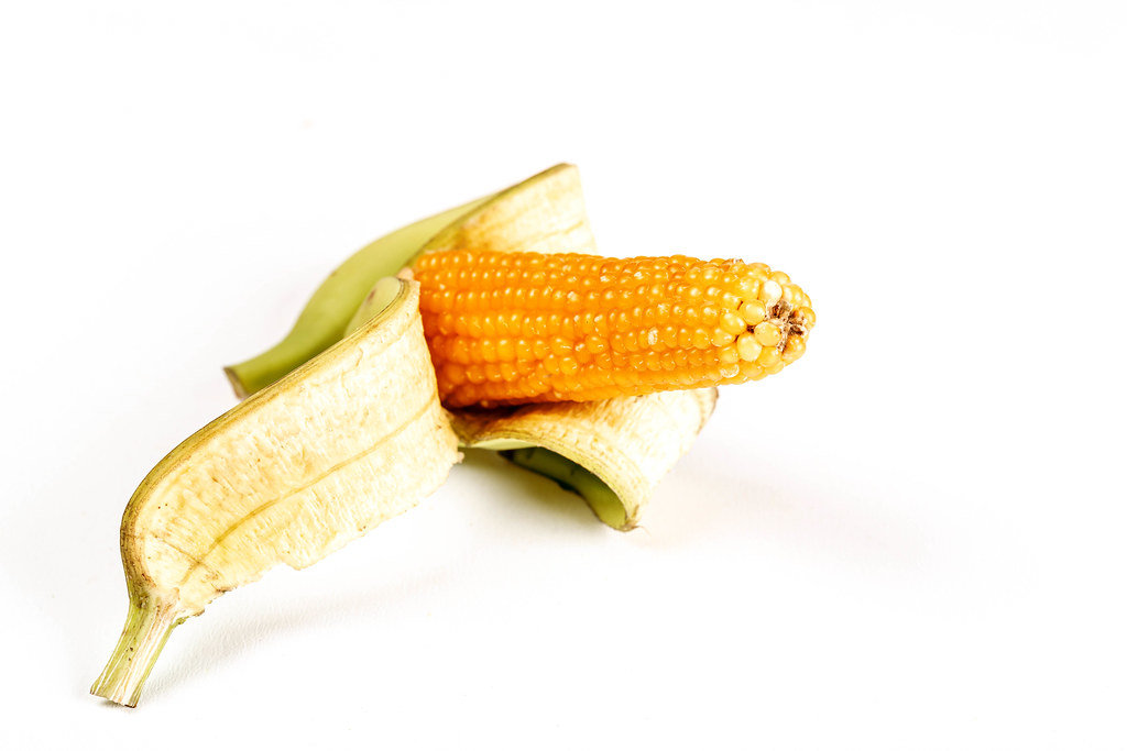 Small head of corn in banana peel on white