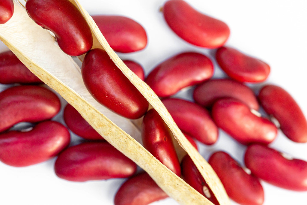 Close-up of raw red beans